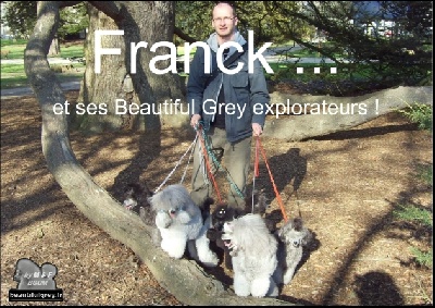 The beautiful grey of marysa - Franck et ses Beautiful Grey explorateurs !!!
