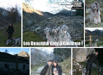 The beautiful grey of marysa - Gavarnie, aux pieds des montagnes 1