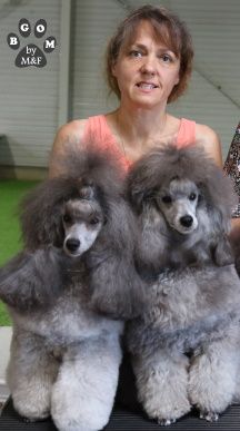 The beautiful grey of marysa - Kristal & Oz The BGoM