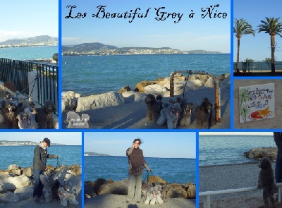 The beautiful grey of marysa - Les BGoM sur la Promenade des Anglais...