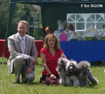 The beautiful grey of marysa - Championnat 2008 & Nationale d'Elevage 2009