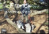  - Franck et ses Beautiful Grey explorateurs !!!