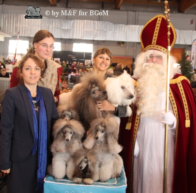 The beautiful grey of marysa - La famille BGoM avec Saint-Nicolas