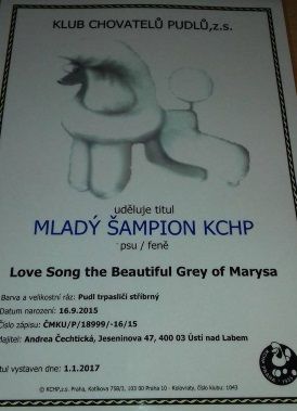 CH. Love song The beautiful grey of marysa
