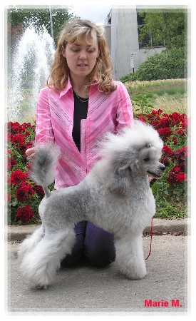 Top fashion The beautiful grey of marysa